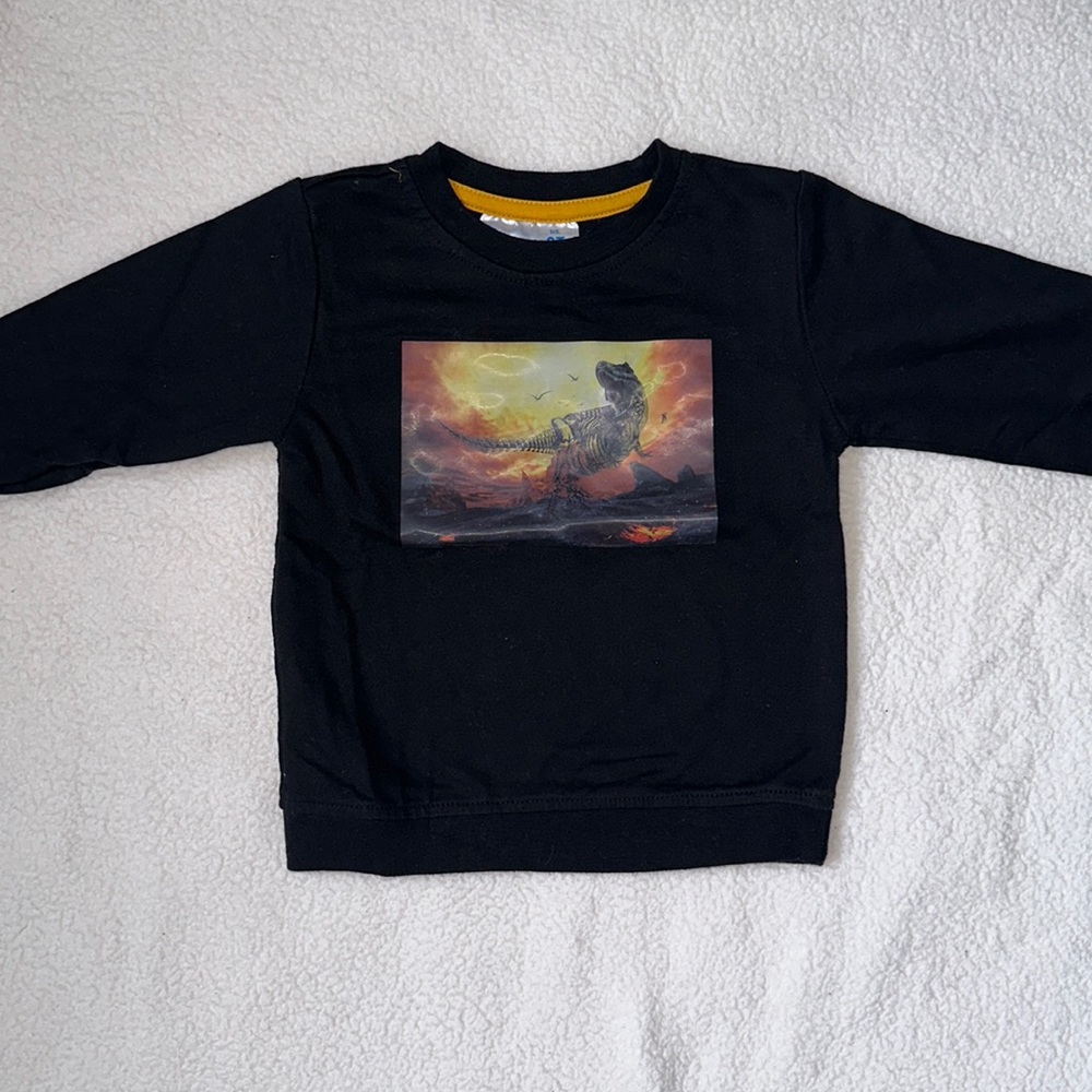 Size 2T dinosaur sweater